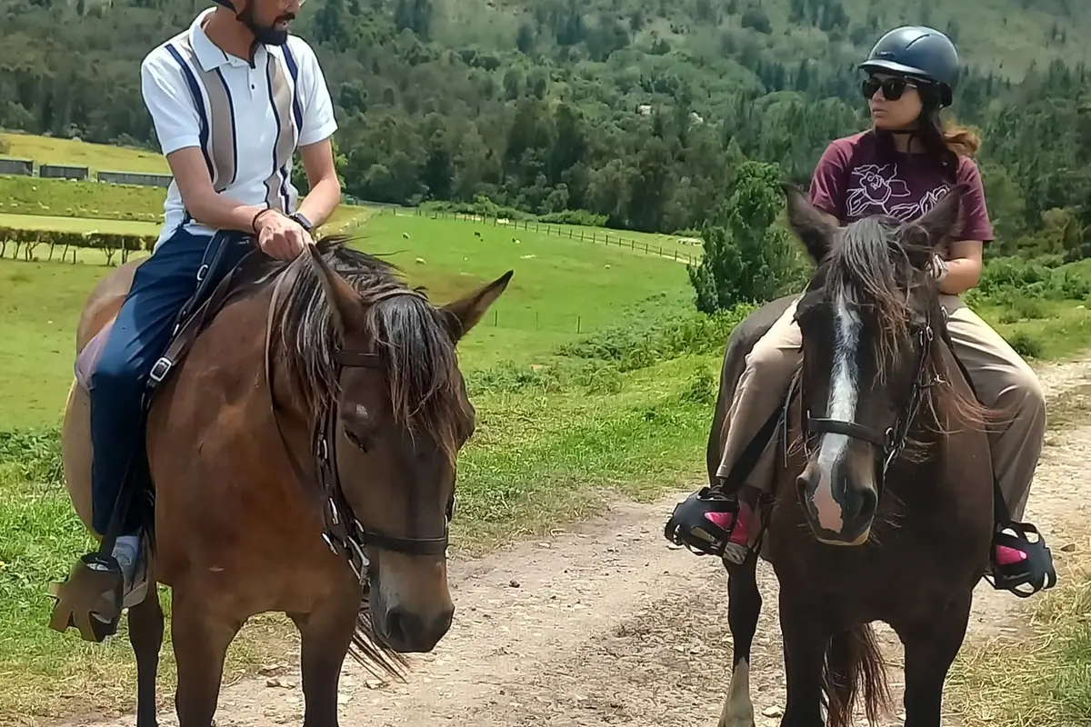 Horse riding on a trail above the coast